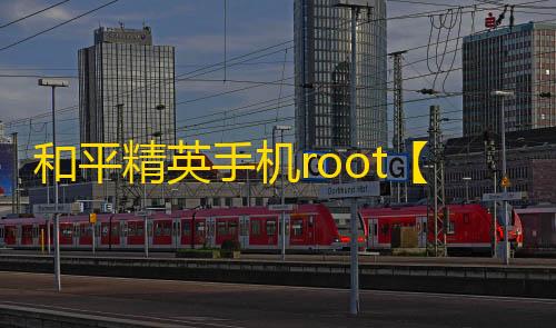 和平精英手机root【灵凡内核】科技