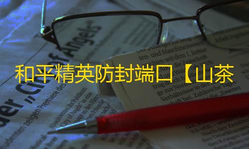 和平精英防封端口【山茶花私端】何平端口-